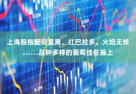 上海股指配资夏黑、红巴拉多、火焰无核……品种多样的葡萄挂在藤上