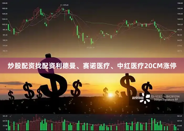 炒股配资找配资利德曼、赛诺医疗、中红医疗20CM涨停